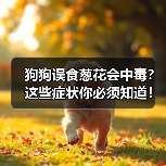 狗狗误食葱花会中毒？这些症状你必须知道！（图2）