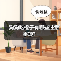 狗狗吃橙子有哪些注意事项？（图2）