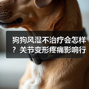 狗狗风湿不治疗会怎样?关节变形疼痛影响行动(图3) 狗狗风湿不治疗会怎样?关节变形疼痛影响行动(图3)