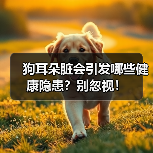 狗耳朵脏会引发哪些健康隐患？别忽视！（图2）