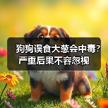 狗狗误食大葱会中毒？严重后果不容忽视（图4）