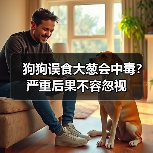 狗狗误食大葱会中毒？严重后果不容忽视（图1）