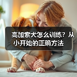 高加索犬怎么训练？从小开始的正确方法（图4）