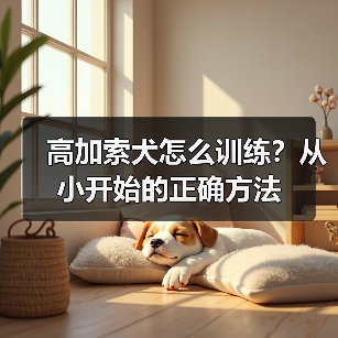 高加索犬怎么训练？从小开始的正确方法（图2）