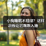小狗睡眠不规律？这样训练让它乖乖入睡（图2）