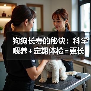 狗狗长寿的秘诀：科学喂养+定期体检=更长久的生命（图1）