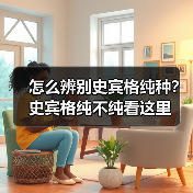 怎么辨别史宾格纯种？史宾格纯不纯看这里（图1）