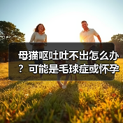 母猫呕吐吐不出怎么办？可能是毛球症或怀孕（图4）