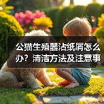 公猫生殖器沾纸屑怎么办？清洁方法及注意事项（图4）