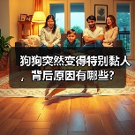 狗狗突然变得特别黏人，背后原因有哪些？（图1）