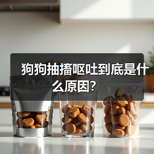 狗狗抽搐呕吐到底是什么原因？（图1）