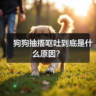 狗狗抽搐呕吐到底是什么原因？（图3）