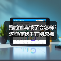 鹦鹉雏鸟饿了会怎样？这些症状千万别忽视（图3）