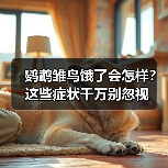鹦鹉雏鸟饿了会怎样？这些症状千万别忽视（图2）