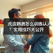 虎皮鹦鹉怎么训练认人？实用技巧大公开（图1）