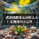 虎皮鹦鹉怎么训练认人？实用技巧大公开（图3）