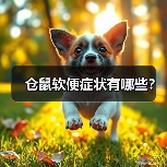 仓鼠软便症状有哪些？（图2）