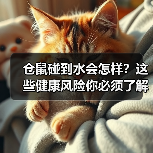 仓鼠碰到水会怎样？这些健康风险你必须了解（图2）