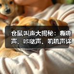 仓鼠叫声大揭秘：嘶嘶声、咔哒声、叽叽声详解（图4）