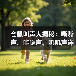 仓鼠叫声大揭秘：嘶嘶声、咔哒声、叽叽声详解（图1）