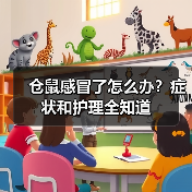 仓鼠感冒了怎么办？症状和护理全知道（图1）