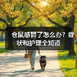 仓鼠感冒了怎么办？症状和护理全知道（图2）