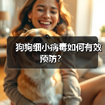 狗狗细小病毒如何有效预防？（图4）