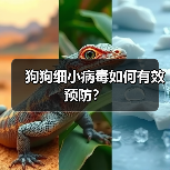 狗狗细小病毒如何有效预防？（图3）