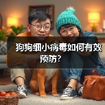 狗狗细小病毒如何有效预防？（图2）