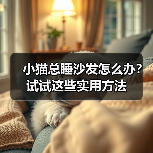 小猫总睡沙发怎么办？试试这些实用方法（图1）