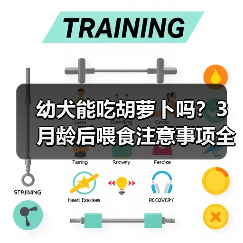 幼犬能吃胡萝卜吗？3月龄后喂食注意事项全解析（图1）