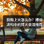 狗狗上火怎么办？绿豆汤和中药降火食谱推荐（图2）