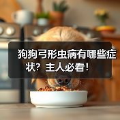 狗狗弓形虫病有哪些症状？主人必看！（图2）