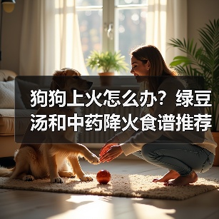 狗狗上火怎么办？绿豆汤和中药降火食谱推荐（图1）