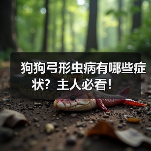 狗狗弓形虫病有哪些症状？主人必看！（图3）