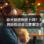 幼犬能吃胡萝卜吗？3月龄后喂食注意事项全解析（图2）