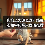 狗狗上火怎么办？绿豆汤和中药降火食谱推荐（图3）