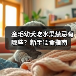 金毛幼犬吃水果禁忌有哪些？新手喂食指南（图4）