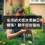 金毛幼犬吃水果禁忌有哪些？新手喂食指南（图2）