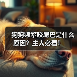 狗狗频繁咬尾巴是什么原因？主人必看！（图2）
