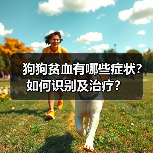 狗狗贫血有哪些症状？如何识别及治疗？（图2）