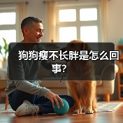 狗狗瘦不长胖是怎么回事？（图4）