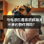 乌龟涂红霉素后眼睛流水是药物作用吗？（图3）