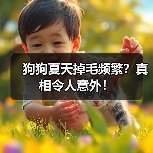 狗狗夏天掉毛频繁？真相令人意外！（图4）