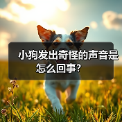 小狗发出奇怪的声音是怎么回事？（图1）