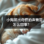 小狗发出奇怪的声音是怎么回事？（图2）