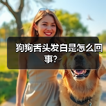 狗狗舌头发白是怎么回事？（图4）