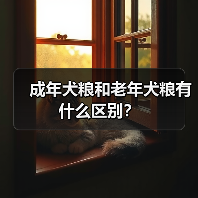 成年犬粮和老年犬粮有什么区别？（图4）