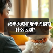 成年犬粮和老年犬粮有什么区别？（图1）