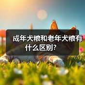 成年犬粮和老年犬粮有什么区别？（图3）